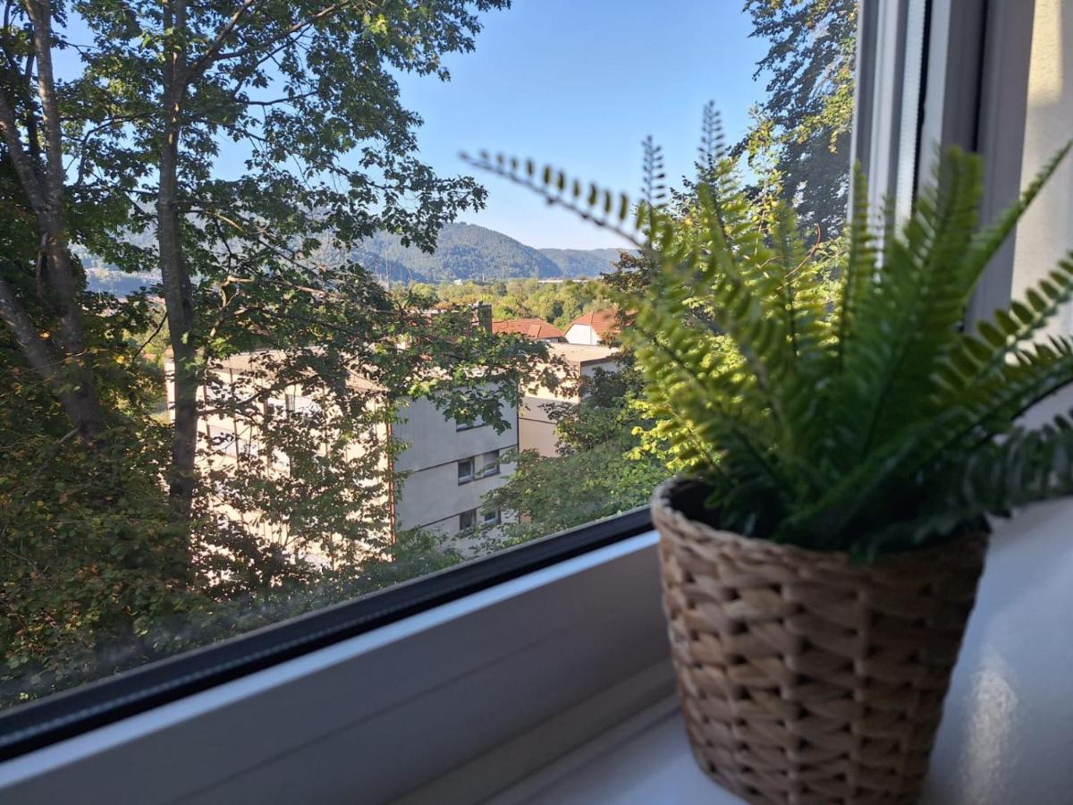 Am Wald Apartment Waldkirch Exterior photo